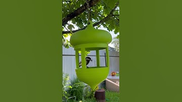 3D printed acorn bird feeder