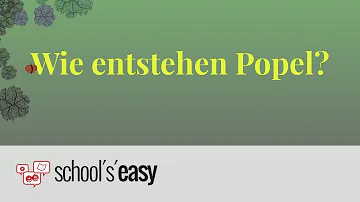 Wie werde ich Popel los?