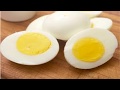 अंडा शाकाहारी है या माँसाहारी वैज्ञानिक जवाब egg veg or non veg scientific answer