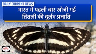 Rare Butterfly Species Discovered - Daily Current News | Drishti IAS