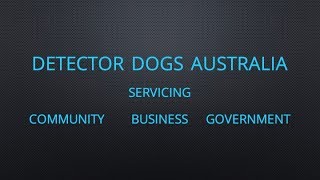 Download Detector Dogs Australia - Community - Business - Government Video MP3 Detector Dogs Australia - Community - Business - Government