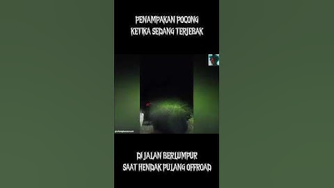Kuntilanak apa pocong?  #penampakan #hantu #mistis #misteri #setan #dunialain #kuntilanak #horo