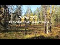 Осень 2020. За медведем с лайками 4. Охота как она есть.