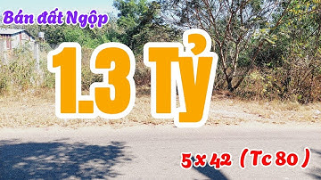 Đất Dầu Tiếng | bán gấp lô đất 5 x 42  ( tc 80 ) giá ngộp #616
