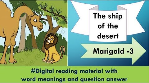 The ship of the desert marigold class 3 with word meanings and question answer