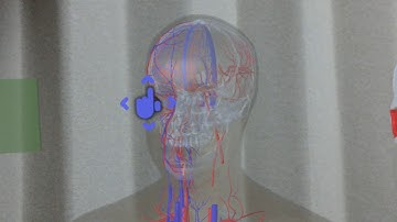 Hololens 3D medical model viewer & manipulator