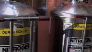 Cryonics - Part 1