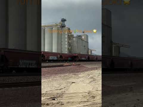 Downloading Grain Hopper