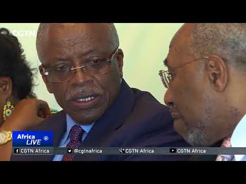 South Africa S Andile Ramaphosa To Wed Bridget Birungi Rwakairu