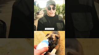 Этот Щенок Показал Свой Характер, Но Вот Что Случилось