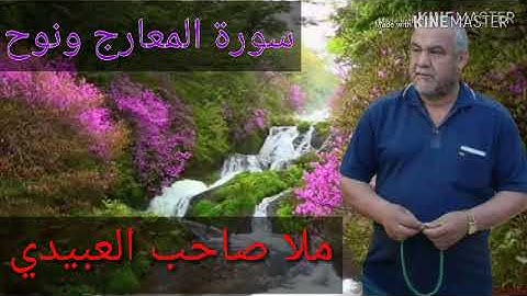 سورة المعارج ونوح=هديتى الى ارواح امواتكم اخوانى واخواتى الاطهار =ملا صاحب العبيدى