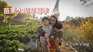 「苗栗大湖草莓季 」in 石門客棧#Le Yun Vlog