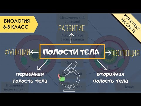 Полость тела животных. Биология 6 класс. Онтогенез. Вторичная, первичная полости тела червей 8 класс