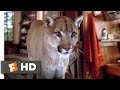 Continental Divide 7 9 Movie A Cougar Problem 1981 Hd