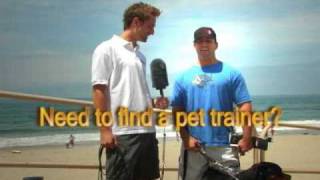 Dog Eats BMW- Needs a Trainer - Los Angeles by petserve1 57 views 15 years ago 31 seconds