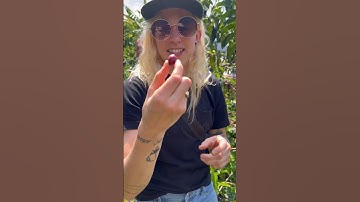 Coffee processing explained- natural, honey, and washed process #shorts #coffee #coffeefarm