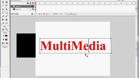 Image Masking With Text in Macromedia Flash