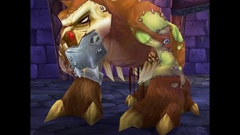 WOTLK Classic - Naxx 10 - Gluth - 10 Stacks