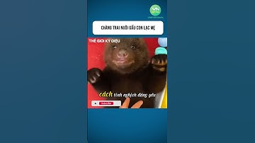Chàng Trai Nuôi Gấu Con Lạc Mẹ #shorts #khamphathegioikydieu