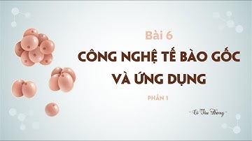 Bài 6. Công nghệ tế bào gốc và ứng dụng (Phần 1) - Cánh diều - Sinh học 10 - Chuyên đề - OLM.VN