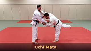 Programme technique UV2 1° dan judo Koshi Waza - club judo jujitsu Duppigheim