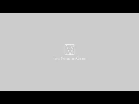 Ivy to Fraudulent Game_2nd single "Memento Mori" Lyric Video #3