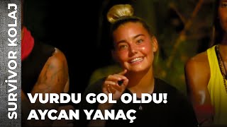 Survivor'ın Forveti \