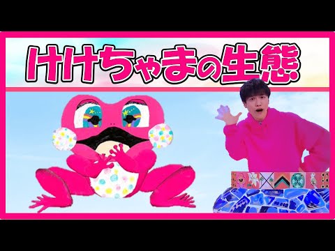 ケケチャマです 2025 Latest Analysis] We will thoroughly introduce Keke-chama, who