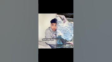 Part 42  Like, comment, subscribe! Let