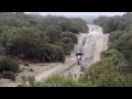 ROOST - Ian Young
