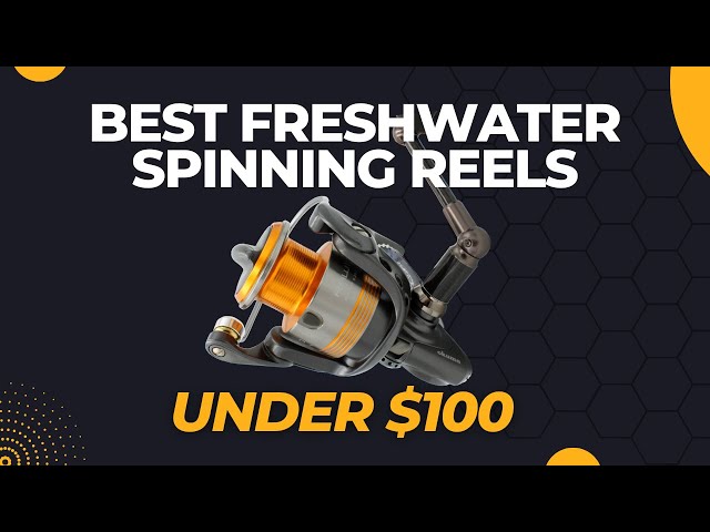 best reel for pond fishing Fishing Reels for Beginners: Why 80% Choose the Wrong One First
