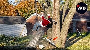 TOTAL IDIOTS AT WORK #785 | Instant Regret Fails Compilation 2025 | Best of the Week