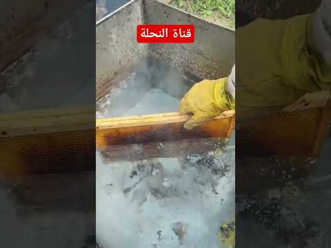 طريقة إستخراج الشمع من الإيطارات القديمة خيركم من تعلم علما وعلمه