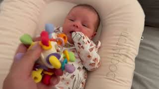 Baby Teething Rattle Toys Honest review
