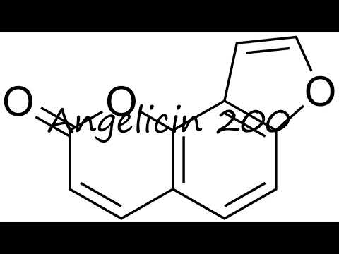 Video: Angelicin 