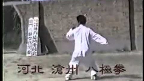 Bát Cực Quyền (Bajiquan)