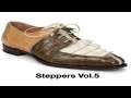 Steppers vol5