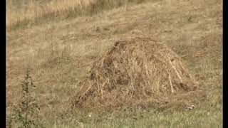 Qərbi Azərbaycan, Böyük Qarakilsə, Hallavar - 4