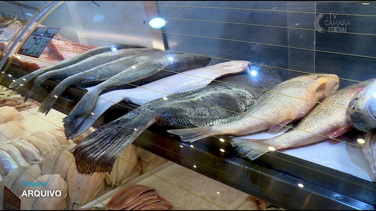 Semana do Pescado é destaque no Uso da Tribuna do Legislativo de Itajaí