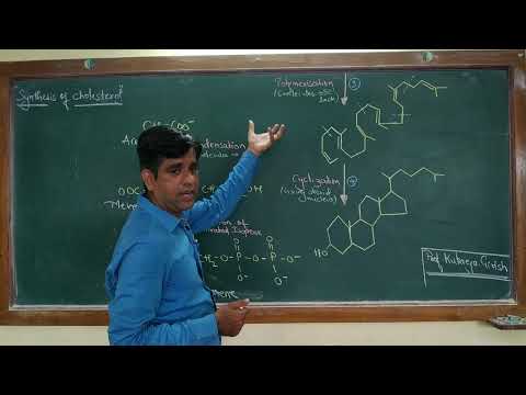 Biosynthesis of Cholesterol-