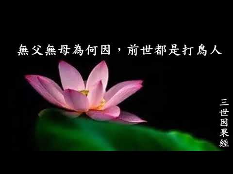 無父無母為何因，前世都是打鳥人