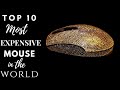 Top 10 most expensive Mouse in the World 2020 | Most luxurious Computer Mouse ever made