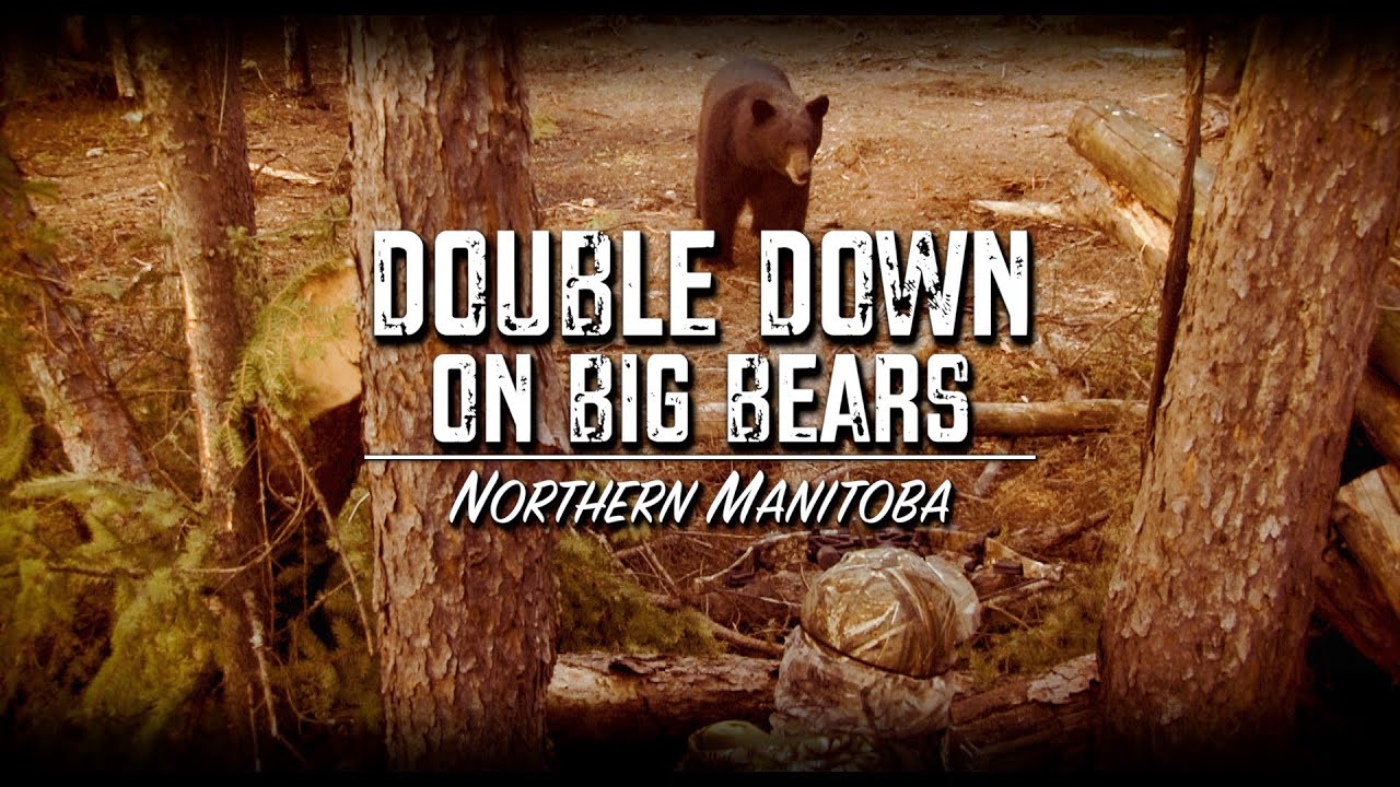 Double Down On Big Bears Promo Season 17 YouTube