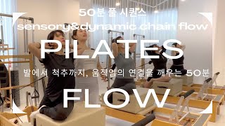 [풀시퀀스]발에서 척추까지, 움직임의 연결을 깨우는 Pilates Flow/필라테스큐잉/필라테스시퀀스/리포머시퀀스/필라테스핸즈온/신경계 필라테스/바렐시퀀스/체어시퀀스
