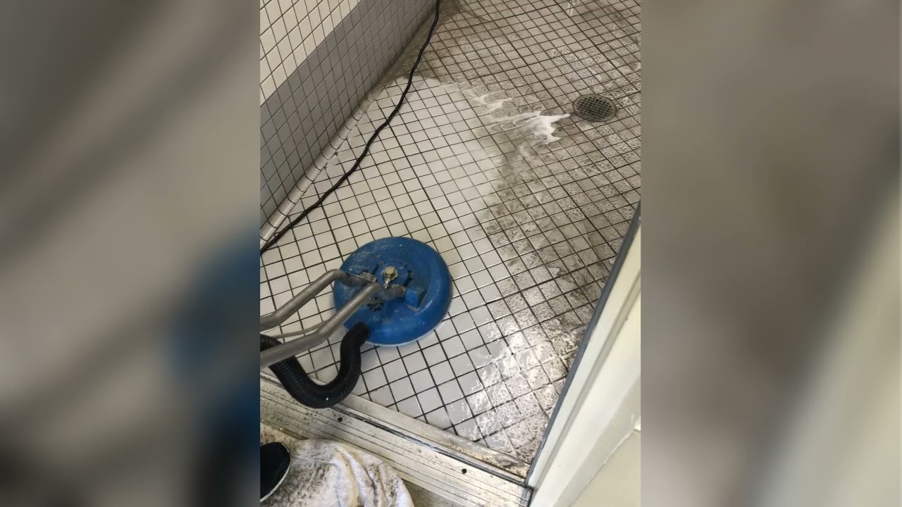 Bluecat Carpet Cleaning: Expert Stain, Upholstery & Tile Services in Port St. Lucie, FL