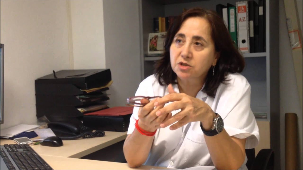 Dr Gilabert on CLEVER project