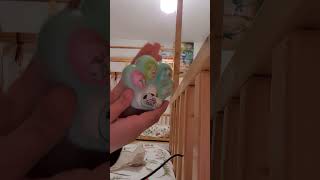 Încep O Serie Cu Jucării