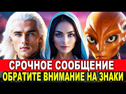 Почему Работники Света