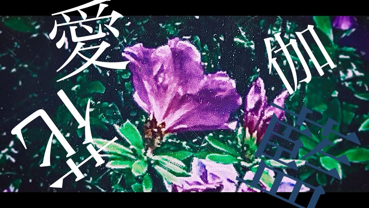 伽藍愛花／Flower＆歌愛ユキ【VOCALOID】 - YouTube