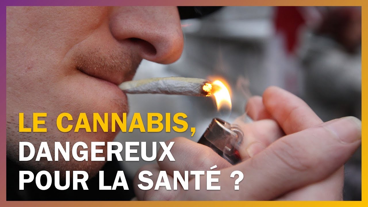 Le cannabis est il dangereux pour la sant 